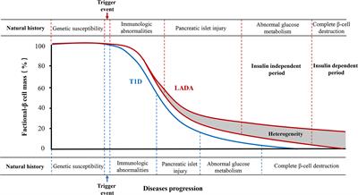 Frontiers | Latent Autoimmune Diabetes In Adults: A Focus On β-cell ...